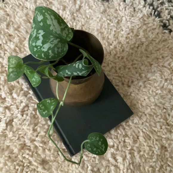 ✨SOLD✨Vintage Solid Brass Vase - Picture 4 of 5